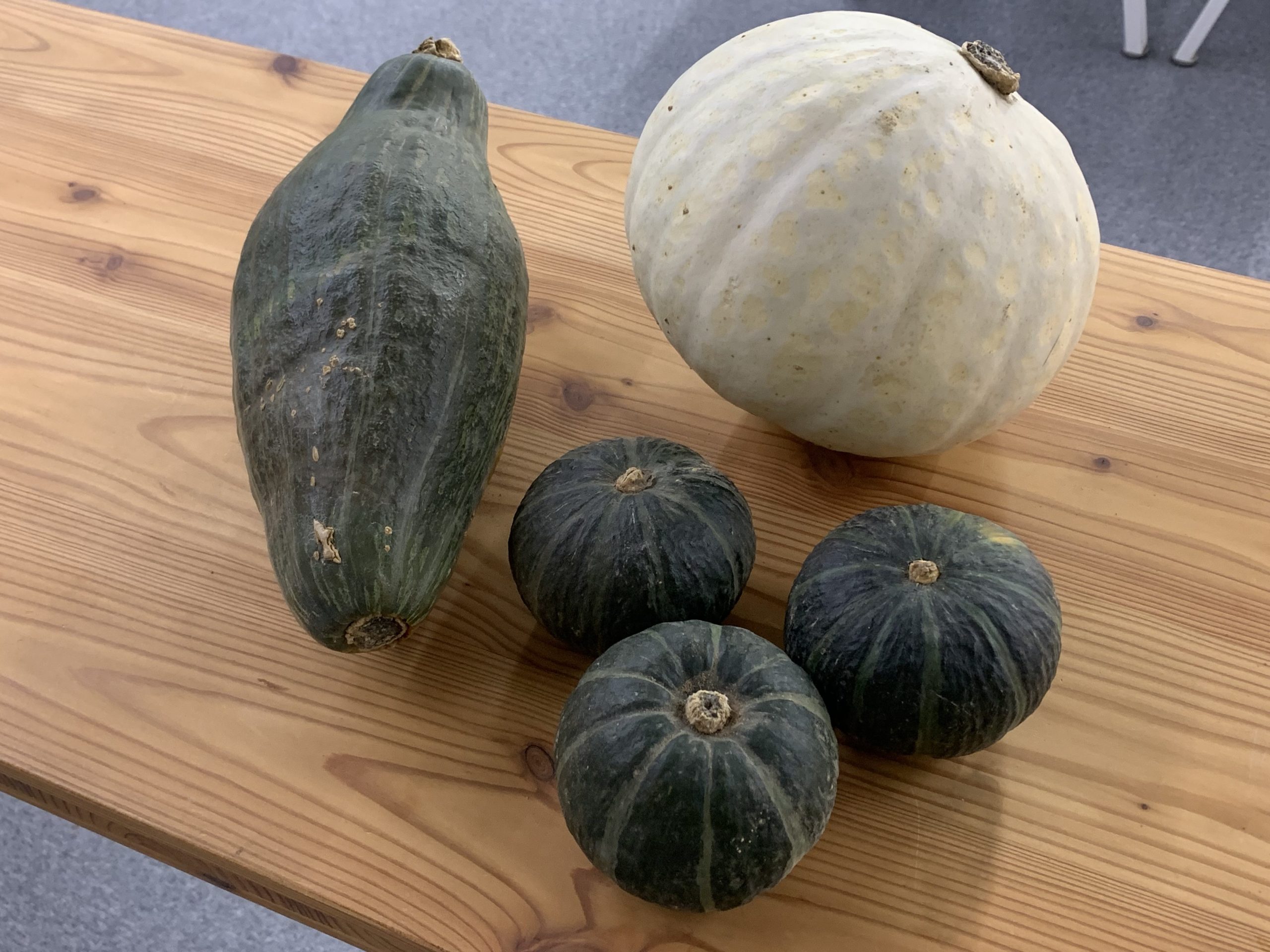 農家さんから頂いた「熟成かぼちゃ」美味しかったです！ | 十勝うら